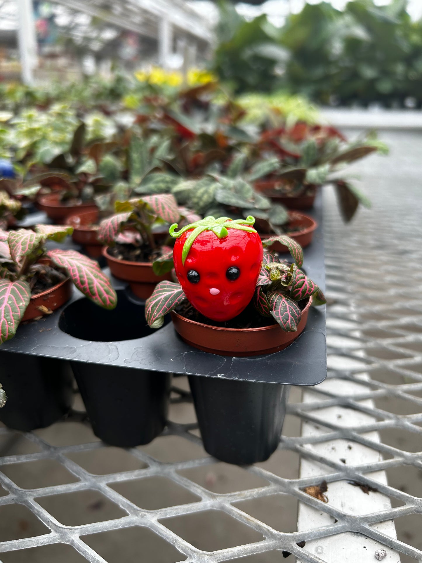 Strawberry Plant Pal