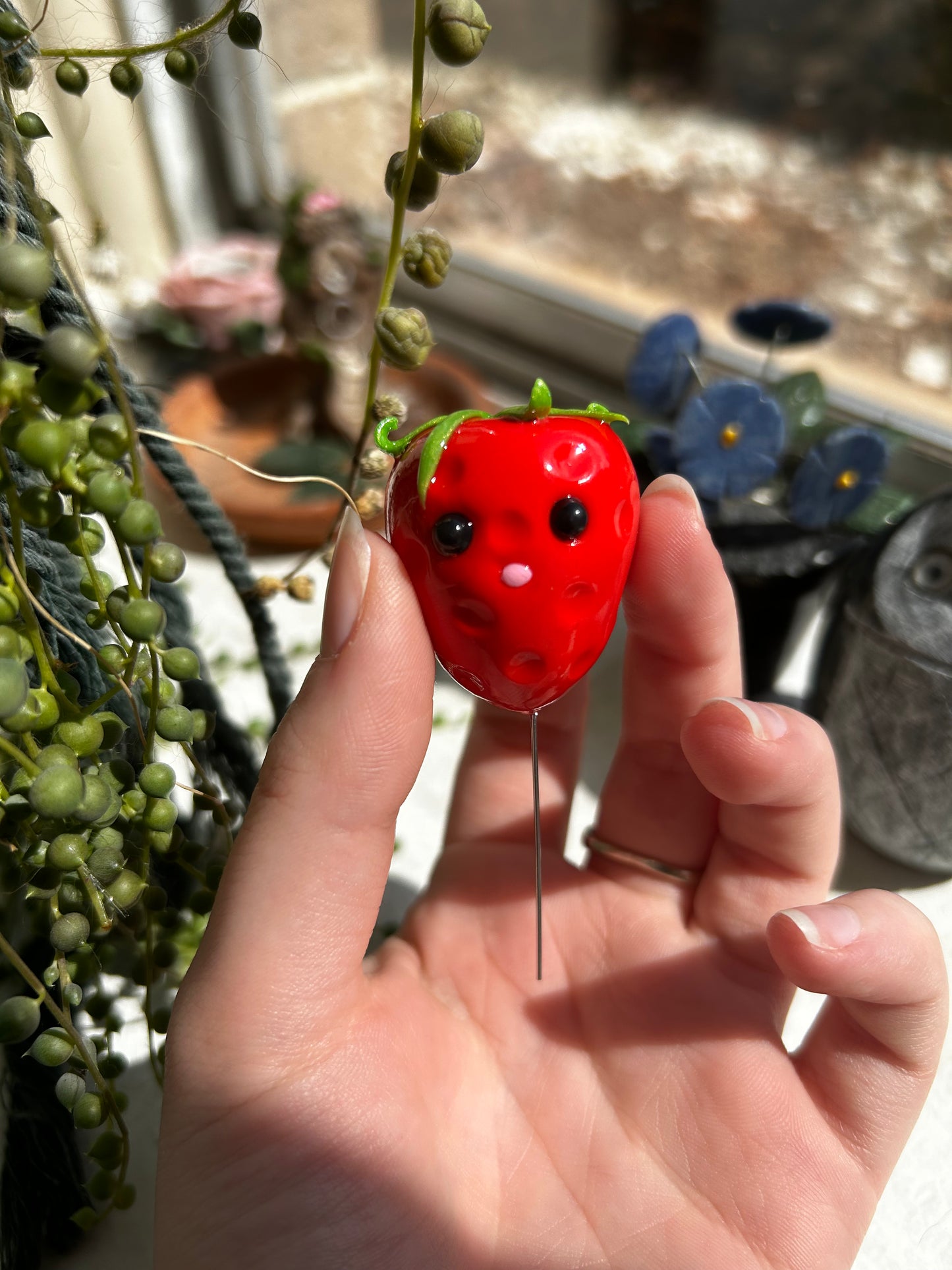 Strawberry Plant Pal