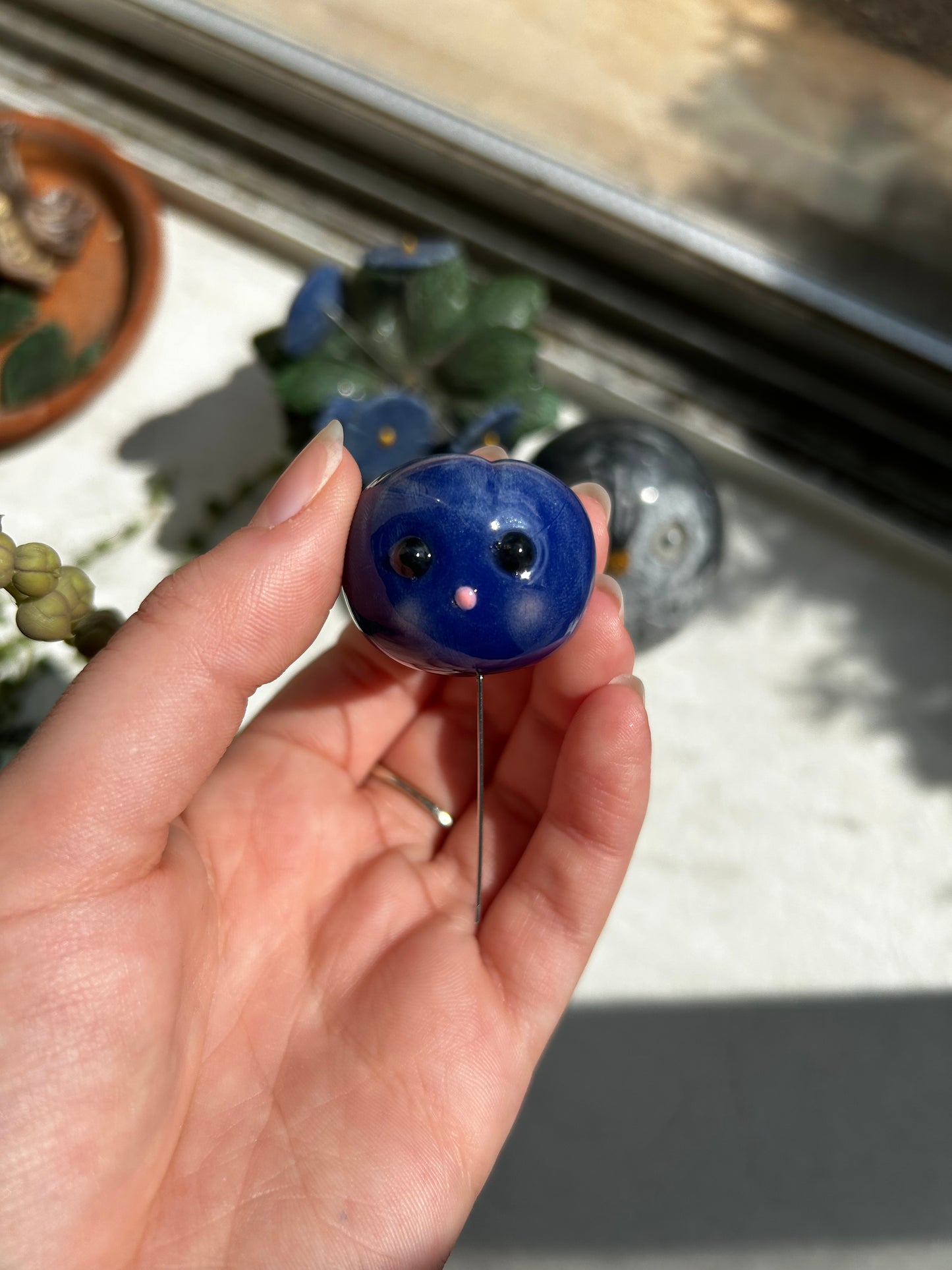 Blueberry Plant Pal